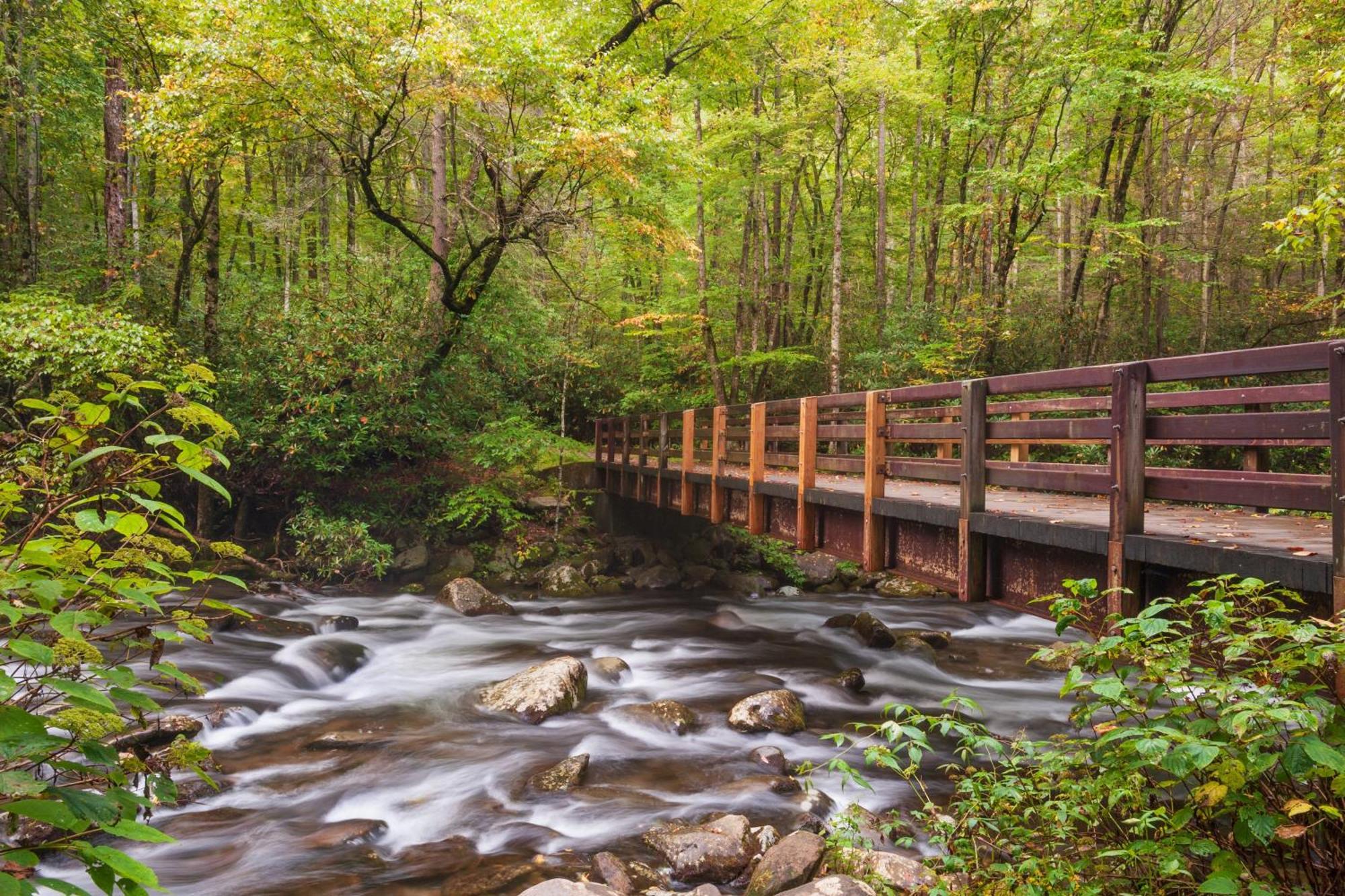 A Million Dollar View- Get 951 Worth Of Free Area Attraction Tickets For Each Paid Day! Βίλα Gatlinburg Εξωτερικό φωτογραφία